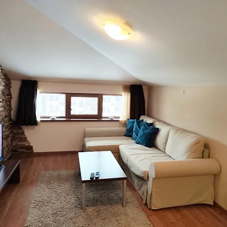 белведере клуб